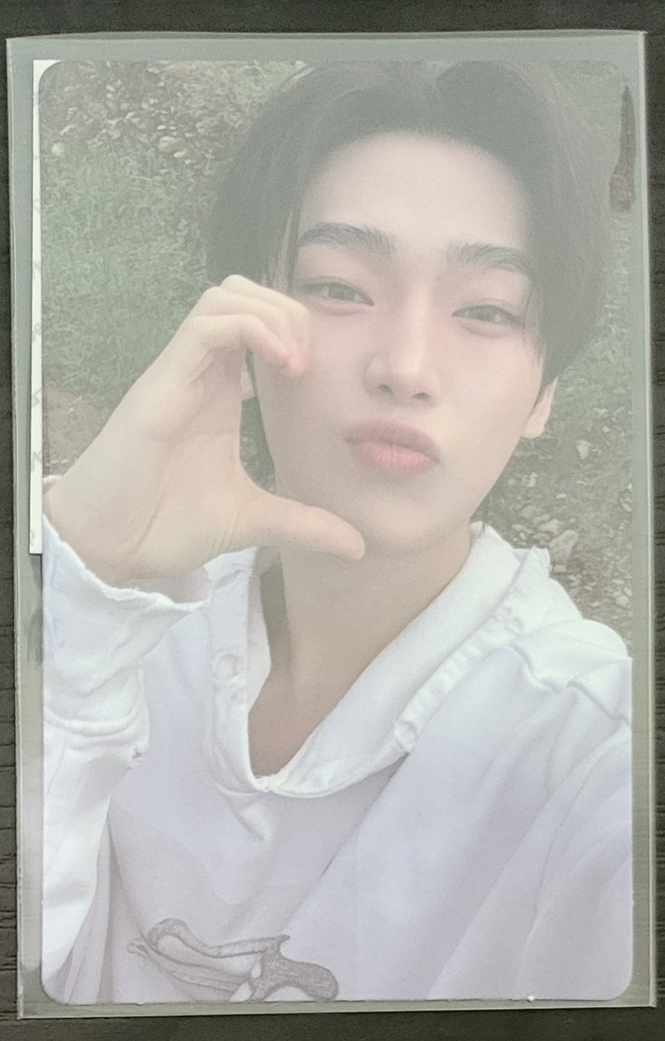 ENHYPEN POB photocard New Zealand