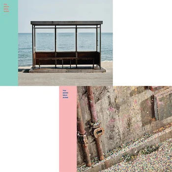 BTS K-pop album NZ