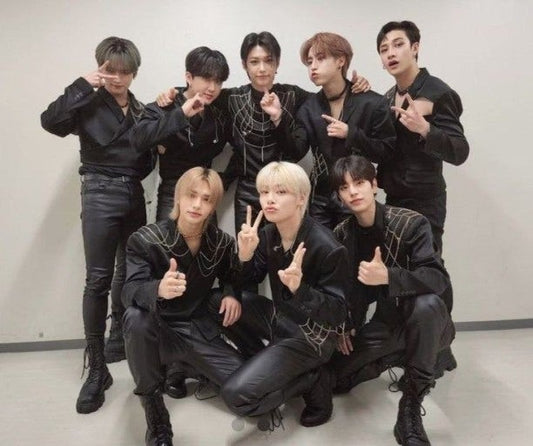 Stray Kids concert movie NZ