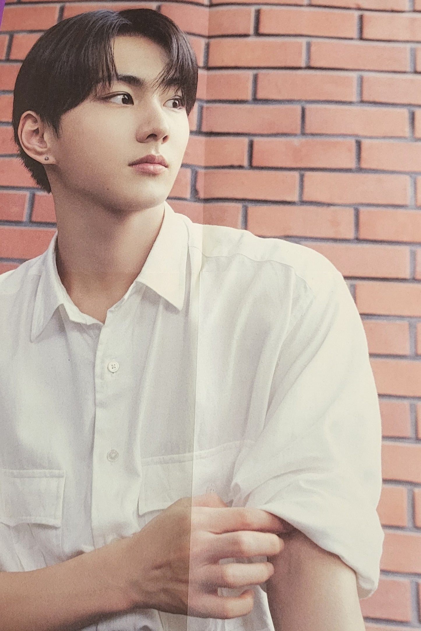 ENHYPEN Season’s Greetings – Folded Poster Set (8ea)