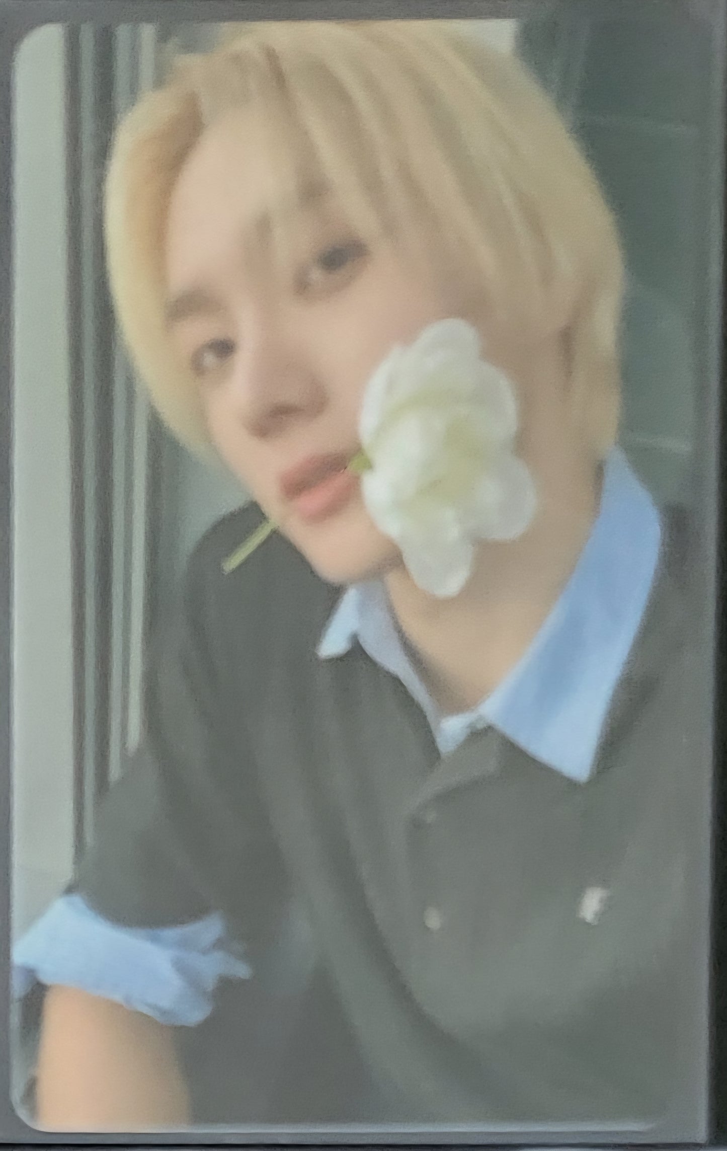 BOYNEXTDOOR - [The Action] Weverse POB Photocard