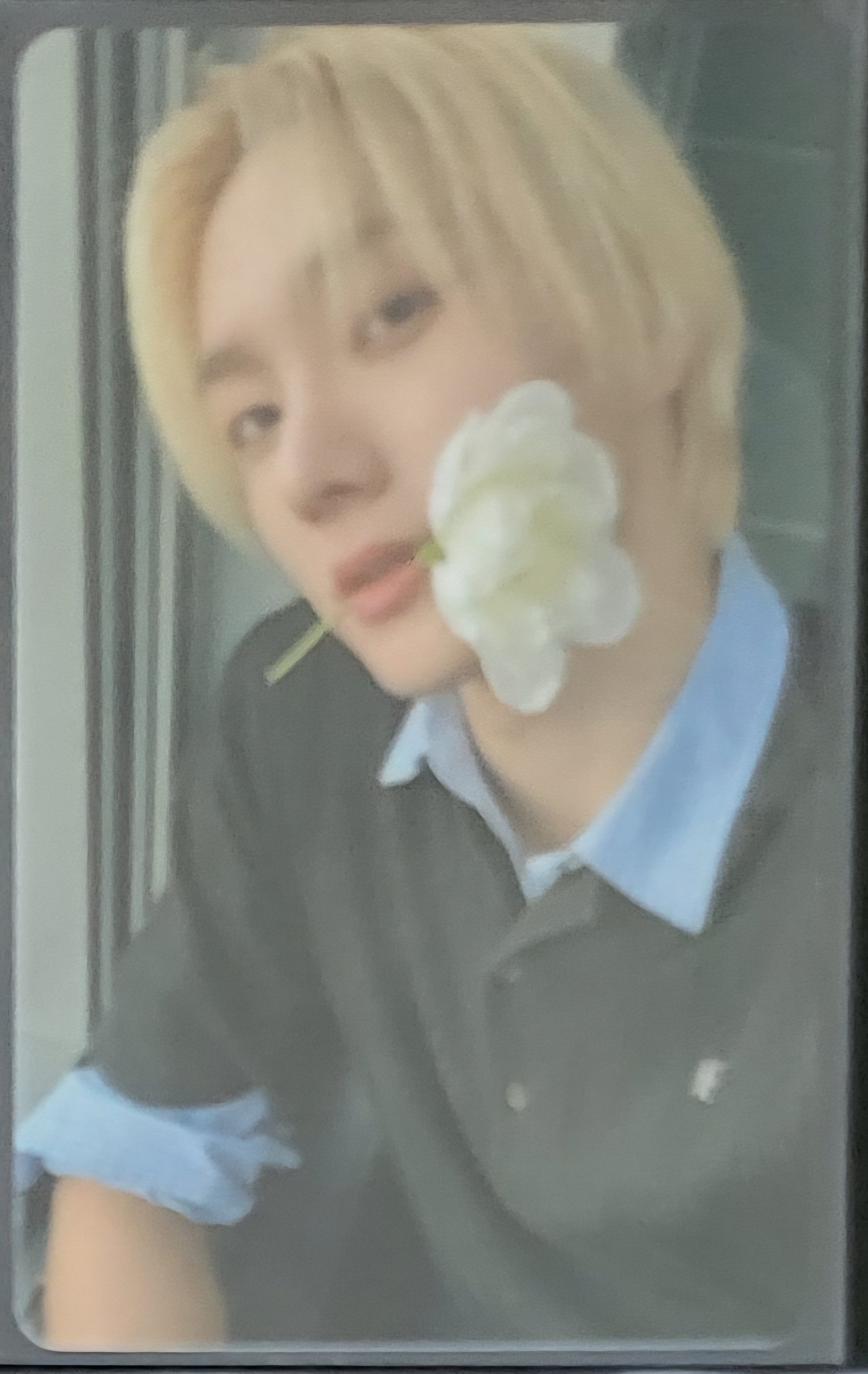 BOYNEXTDOOR - [The Action] Weverse POB Photocard