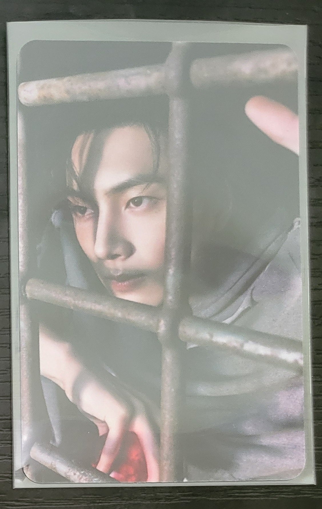 ENHYPEN Apple Music photocard New Zealand