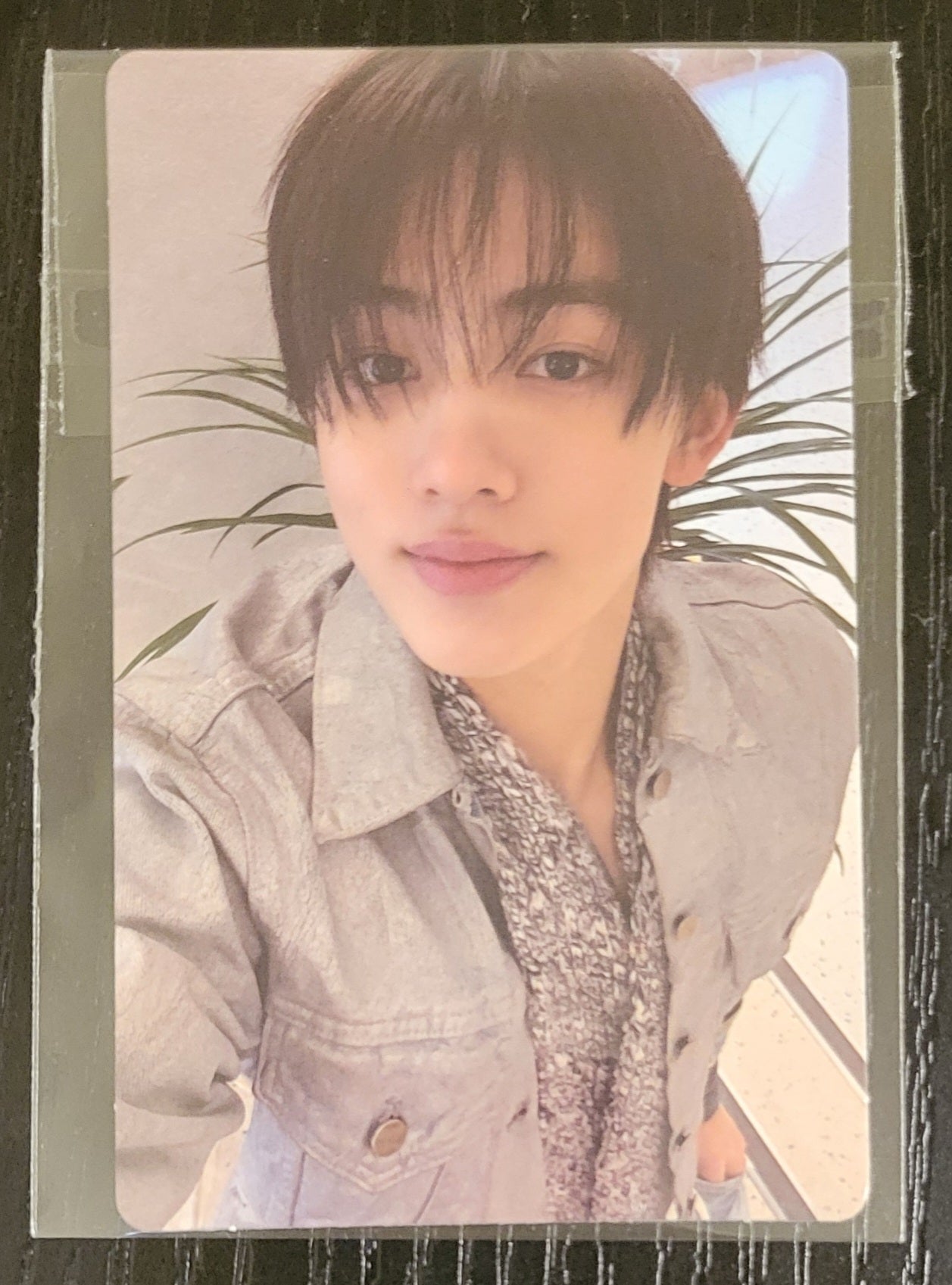 CORTIS GREENGREEN Weverse POB Photocard NZ