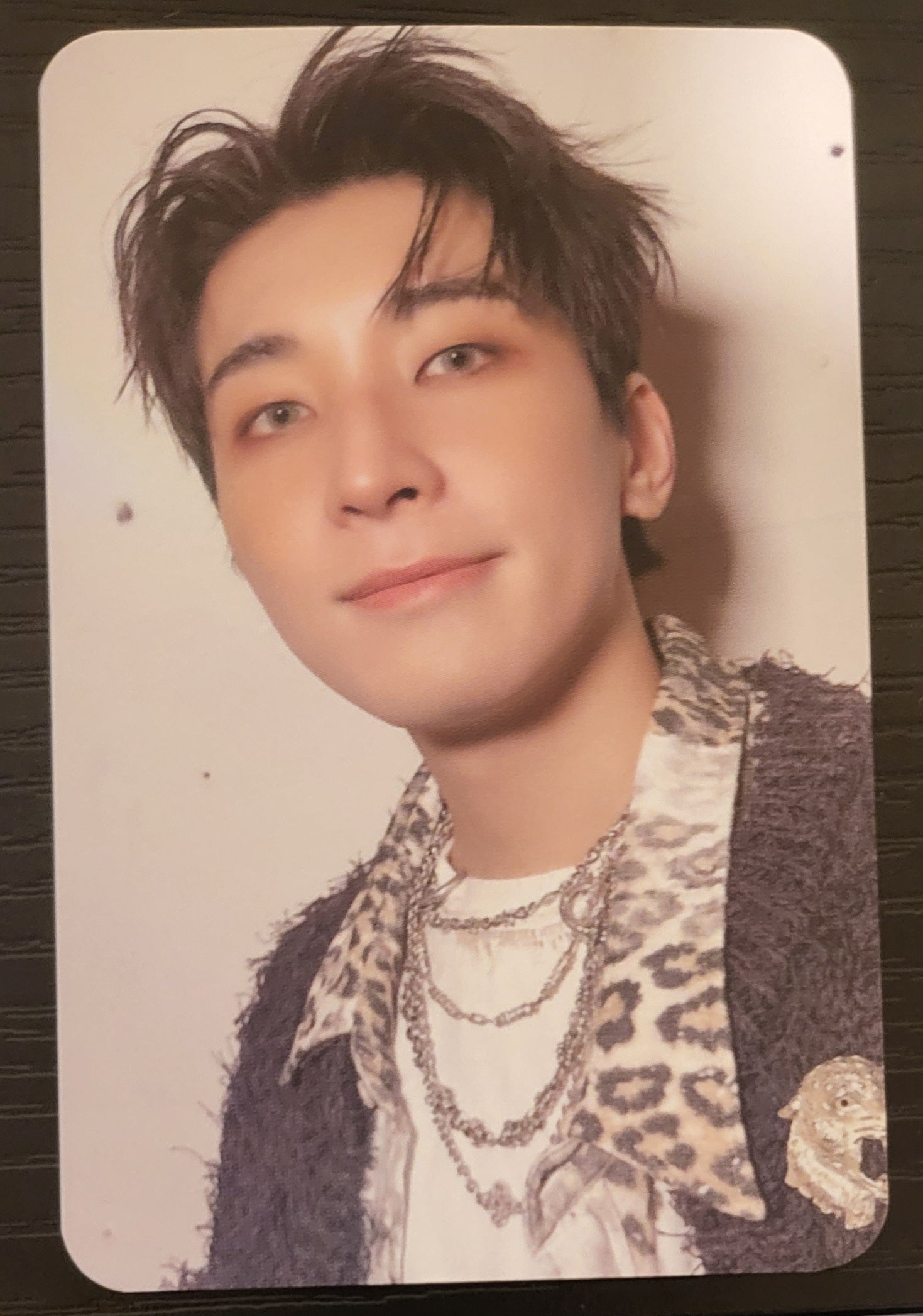 SEVENTEEN HAPPY BURSTDAY Fanplee POB Photocard | K-pop NZ