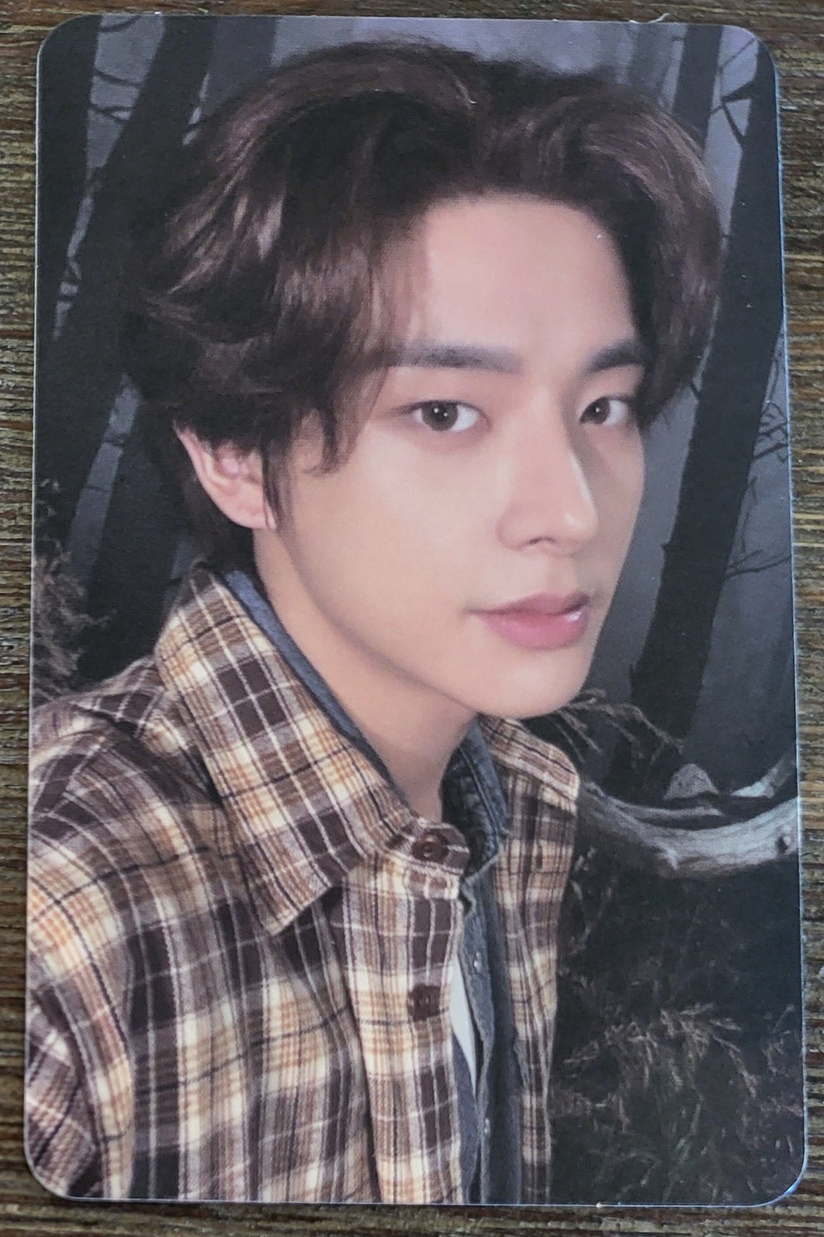 ENHYPEN THE SIN BLISS ENGENE Photocard | K-pop NZ