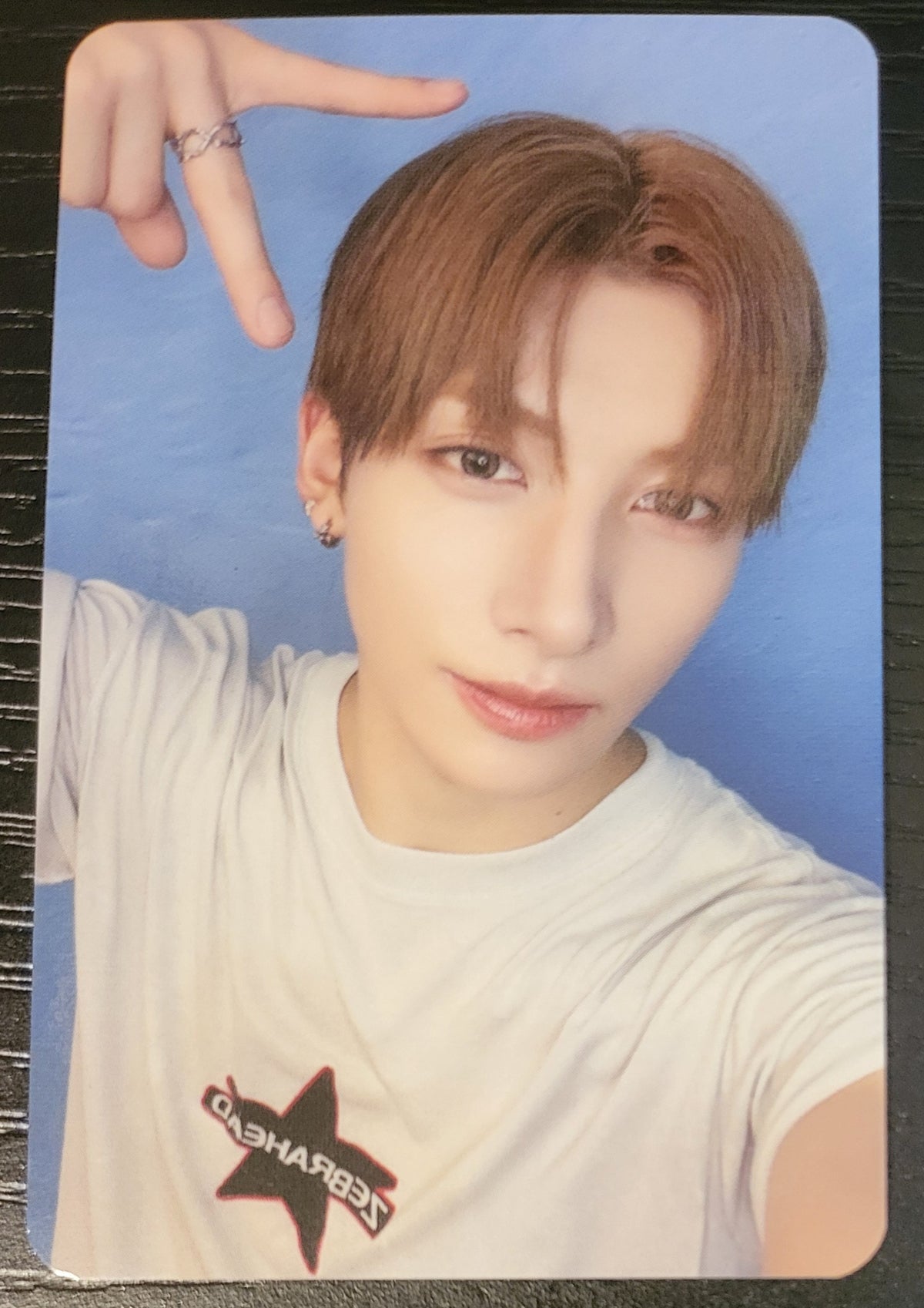 NEXZ SAUCIN' Official Photocards | MALLANG & NEXZOO | K-pop NZ