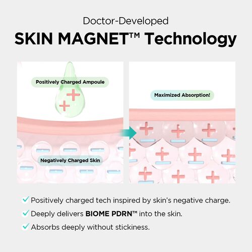 Pore-refining and hydrating exosome ampoule