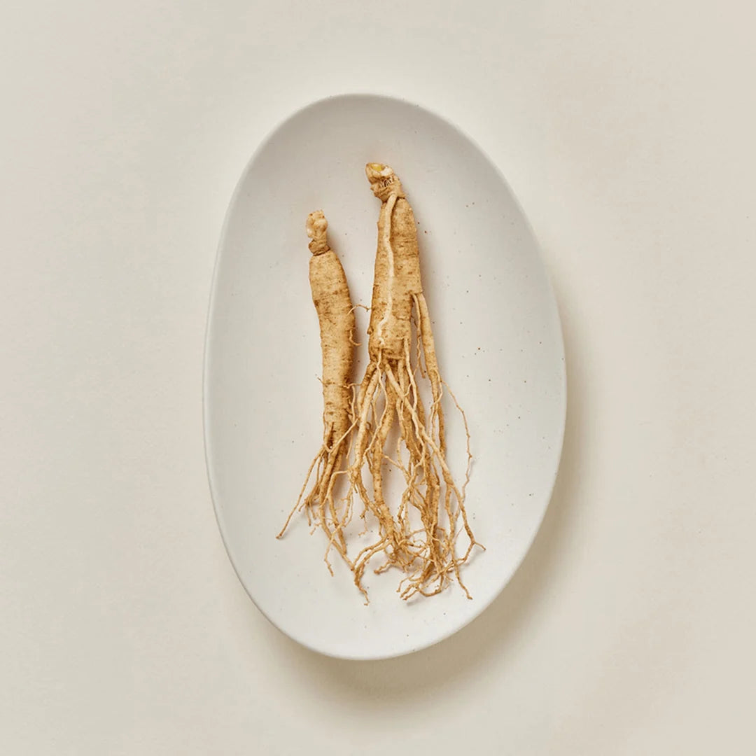 Beauty of Joseon Ginseng Moist Sun Serum SPF50+ | K-beauty NZ