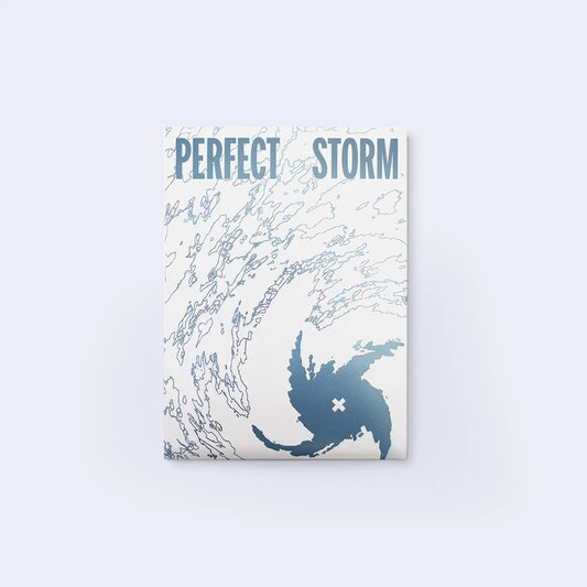 TXT (TOMORROW X TOGETHER) 9th Mini Album [PERFECT STORM] STORM IS COMING Ver., a genuine Korean K-pop album.