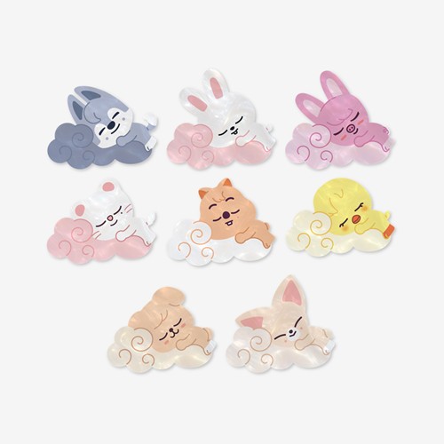 SKZOO ACRYLIC HAIR CLIP RUN IT MD | K-pop NZ